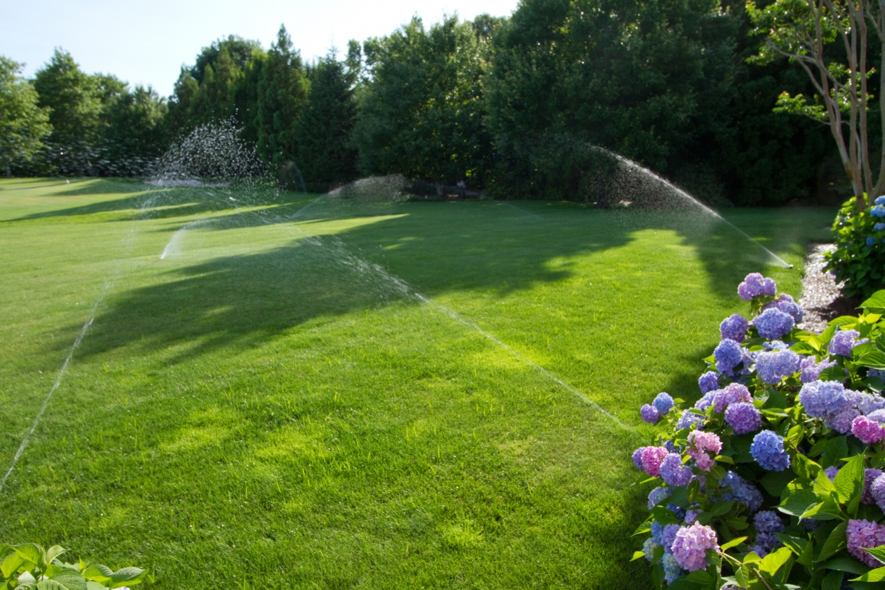 Hampton Property irrigation